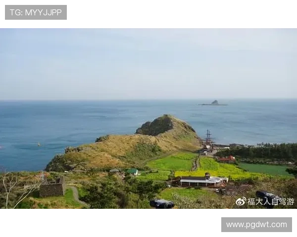 夏威夷探奇主题的PG电子游戏让玩家感受海岛风光与刺激挑战的完美结合