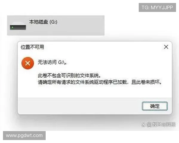问鼎PG官网入口链接无法访问时的常见原因及应对方法指南