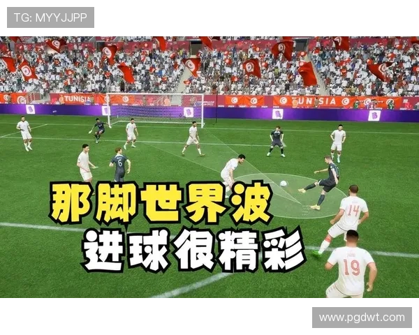 世界杯突尼斯对阵日本官方购票指南及最新购票流程详解